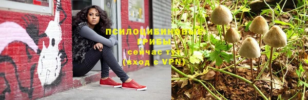 тгк Строитель