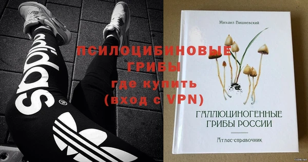 экстази Тавда