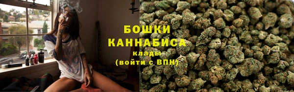 стаф Абаза