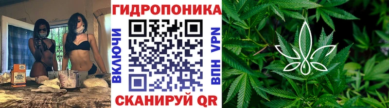 Бошки марихуана гибрид  Химки 